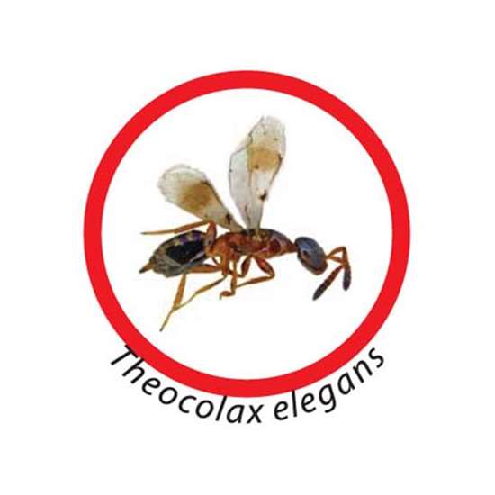 Osd gruppo Ecotech srl